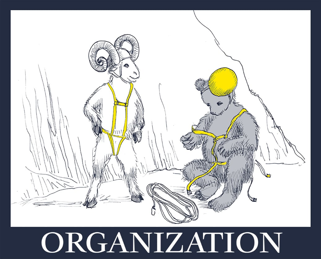 Organization motivational poster