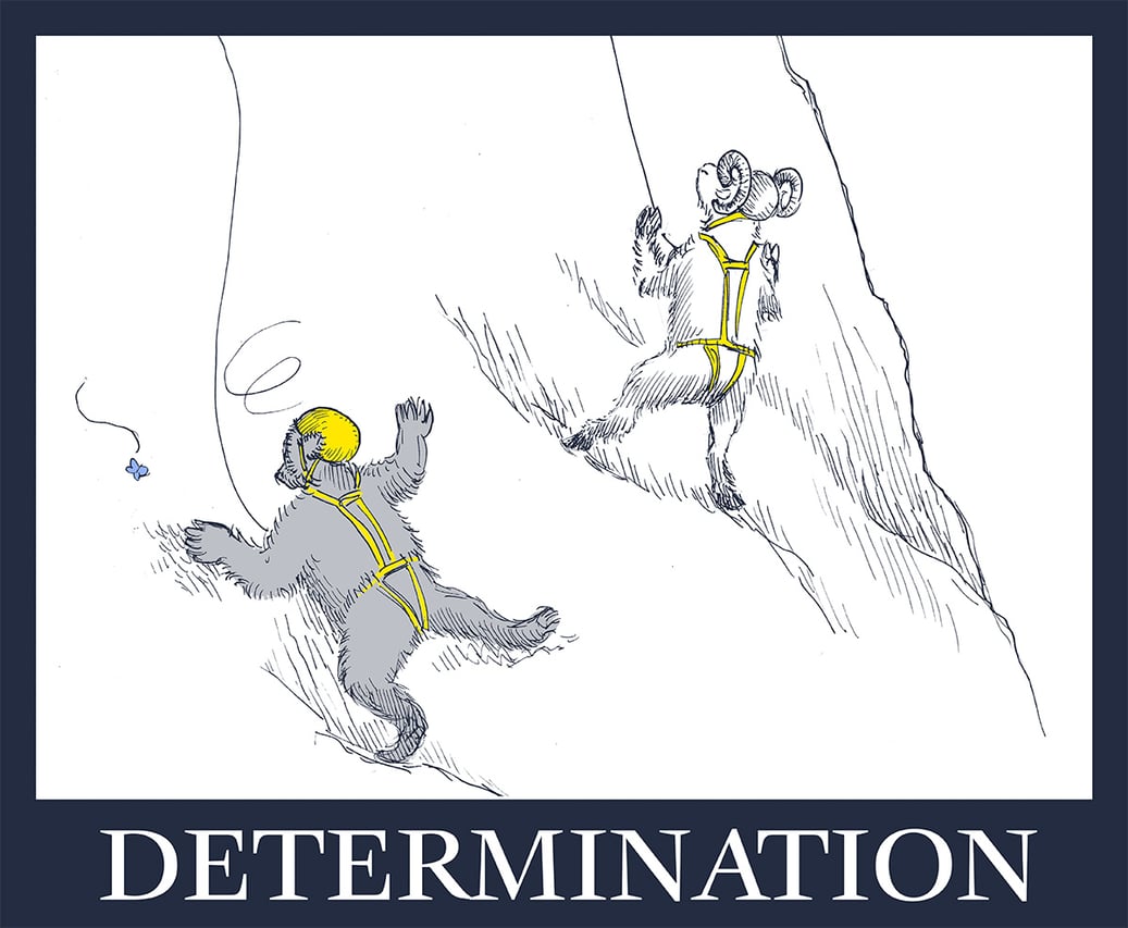 Determination motivational poster